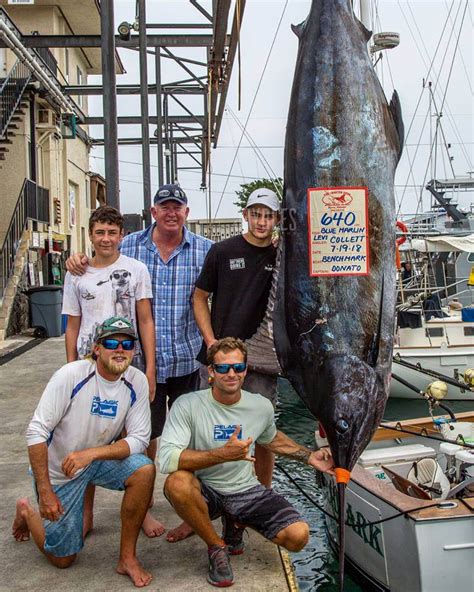 kona fishing reports|kona fishing charters.